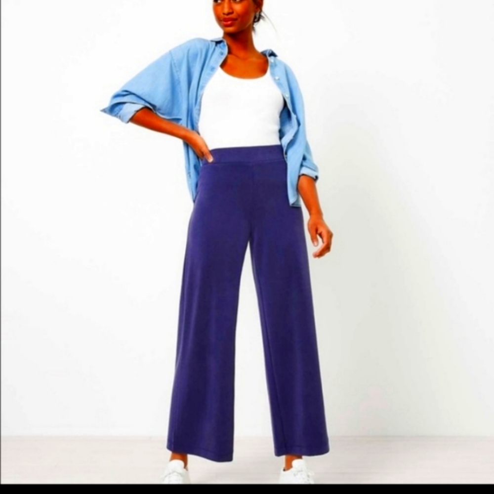 Cute Comfy Never Worn Anne Taylor/ Loft Wide Leg Pull on Crop Pants.